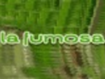 logo_LA FUMOSA