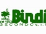 logo_Bindi Secondo