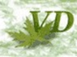 logo_VIVAI DETTOLI