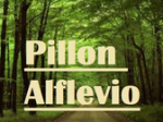 logo_Pillon Alflevio