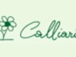 logo_CALLIARI FIORI