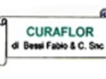 logo_CURAFLOR