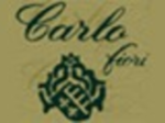 logo_CARLO FIORI