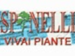 logo_VIVAI SPINELLI