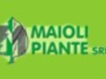 logo_Maioli Piante