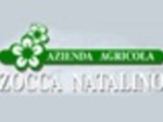 logo_ZOCCA NATALINO