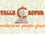 logo_VALLE CACTUS