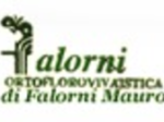 logo_FALORNI MAURO ORTOFLOROVIVAISTICA