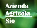 logo_Azienda Agricola Sio
