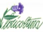 logo_FLORICOLTURA COCCETTI