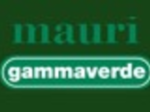 logo_GAMMA VERDE