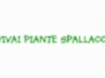 logo_VIVAI SPALLACCI