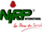 logo_NIRP INTERNATIONAL