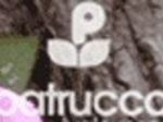 logo_Patrucco