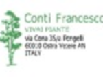 logo_Conti Francesco- Vivai e Piante