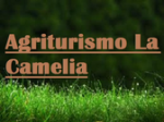 logo_Agriturismo La Camelia