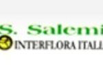 logo_SALEMI FIORI