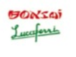 logo_Bonsai Lucaferri