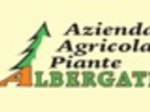 logo_ALBERGATI