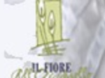 logo_IL FIORE ALL'OCCHIELLO