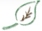logo_BACHERINI FRANCESCO