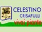 logo_CRISAFULLI CELESTINO