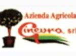 logo_GINEVRA