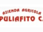 logo_PULIAFITO