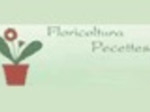 logo_FLORICOLTURA PECETTESE