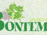 logo_Vivaio Bontempi