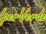 logo_IPER VERDE