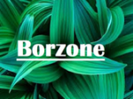 logo_Borzone
