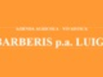 logo_VIVAI BARBERIS