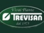 logo_VIVAI TREVISAN