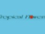 logo_TROPICAL FLOWERS