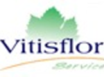 logo_VITISFLOR SERVICE