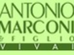 logo_MARCONI ANTONIO & FIGLI