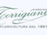 logo_Giardino Torrigiani