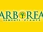 logo_ARBOREA BO