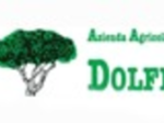 logo_DOLFI VIVAI