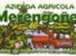 logo_MERENGONE
