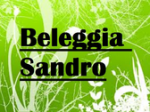 logo_Beleggia Sandro