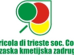 logo_Agricola Di Trieste