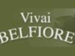 logo_VIVAI BELFIORE