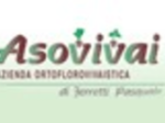 logo_Asovivai