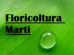 logo_Floricoltura Marti