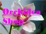 logo_Orchidea Shop
