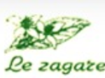 logo_Le Zagare