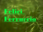 logo_Felici Ferruccio