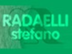 logo_RADAELLI FLOR